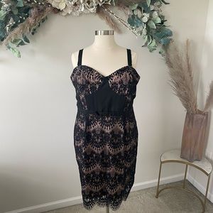 NWOT City Chic Lace Cocktail Dress Size 22